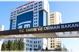 Tarım ve Orman Bakanlığı 1.874 Sözleşmeli Personel Alacak